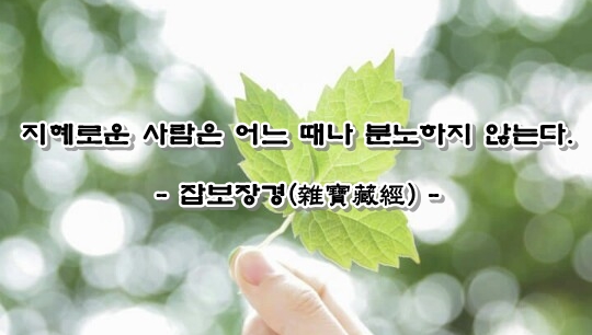 ����ũ��� ����