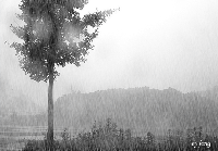 ����ũ��� ����