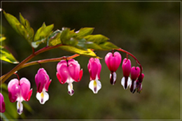 ����ũ��� ����