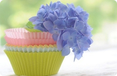 ����ũ��� ����