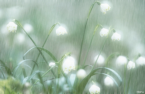 ����ũ��� ����