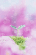 ����ũ��� ����