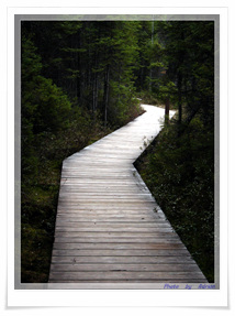 ����ũ��� ����