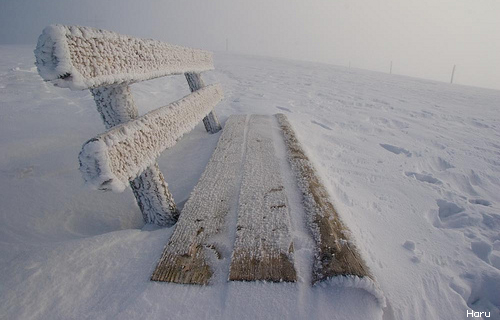 ����ũ��� ����