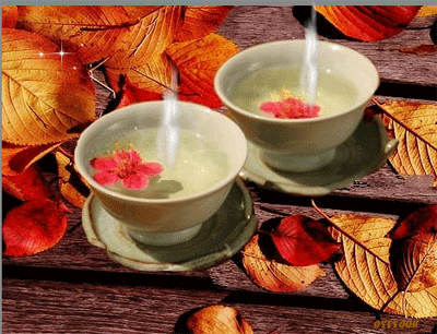 ����ũ��� ����