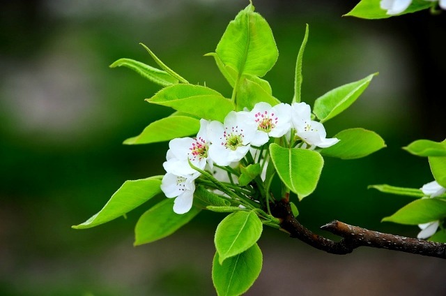 ����ũ��� ����