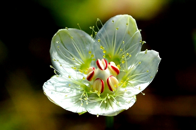 ����ũ��� ����