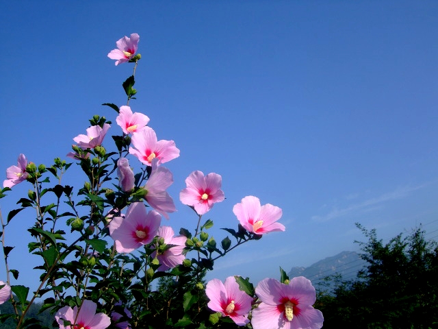 ����ũ��� ����