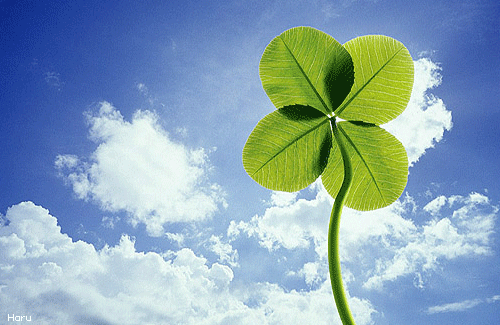 ����ũ��� ����