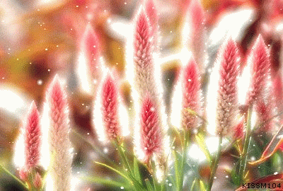 ����ũ��� ����