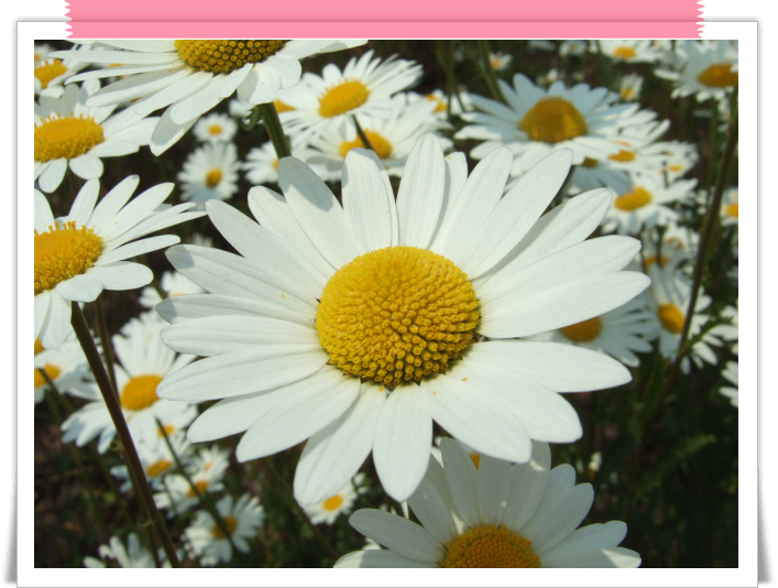 ����ũ��� ����