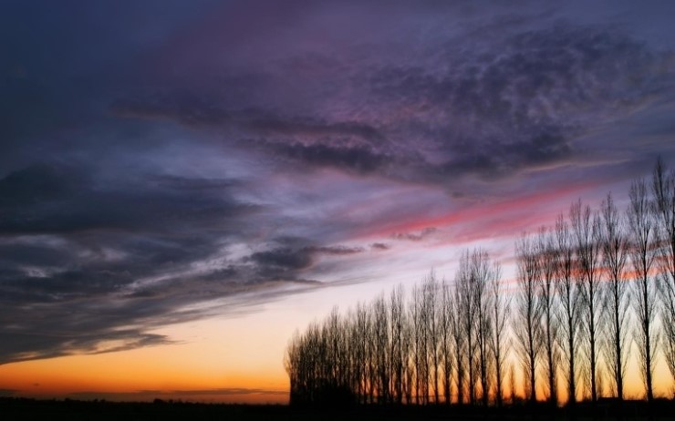 ����ũ��� ����