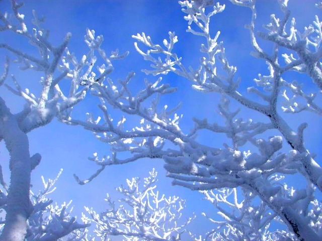 ����ũ��� ����