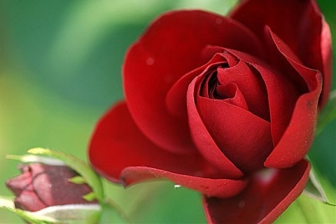 ����ũ��� ����