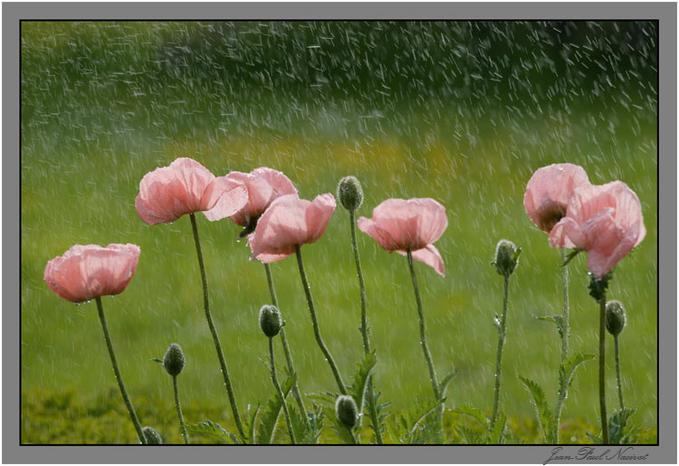 ����ũ��� ����