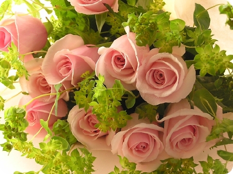 ����ũ��� ����