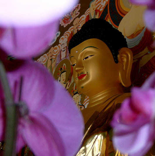 ����ũ��� ����