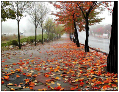 ����ũ��� ����