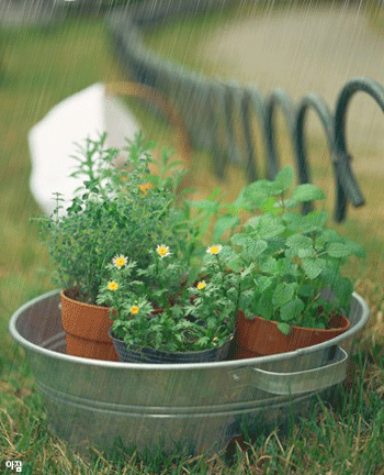 ����ũ��� ����