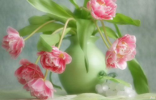 ����ũ��� ����