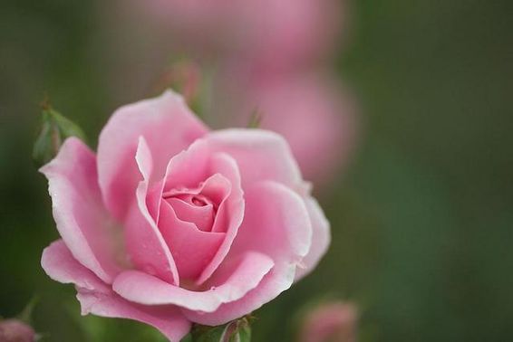 ����ũ��� ����