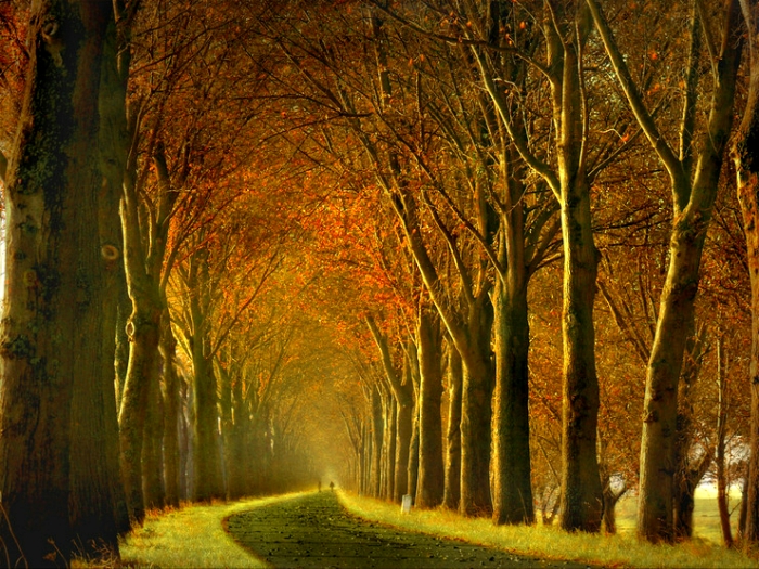 ����ũ��� ����