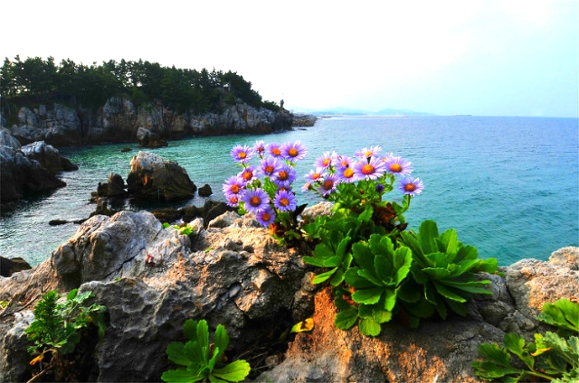 ����ũ��� ����