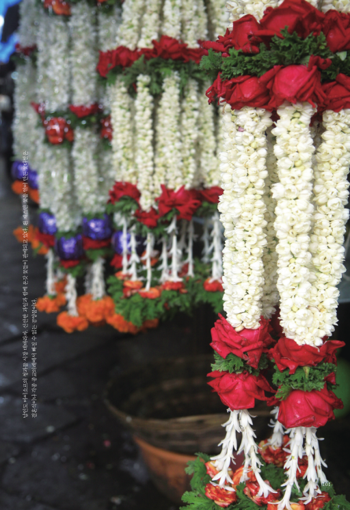 ����ũ��� ����