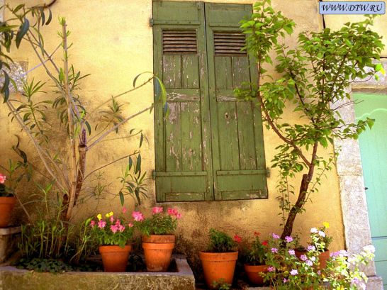 ����ũ��� ����