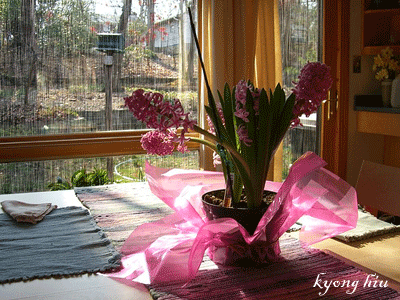 ����ũ��� ����