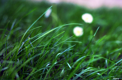 ����ũ��� ����