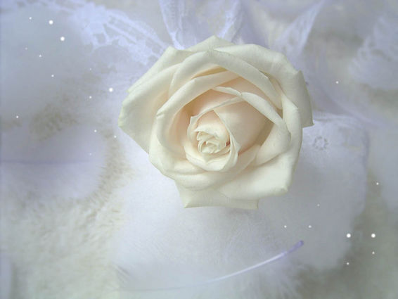 ����ũ��� ����