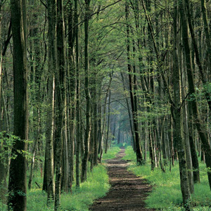 ����ũ��� ����