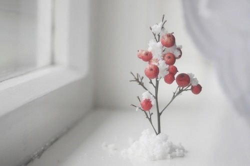 ����ũ��� ����