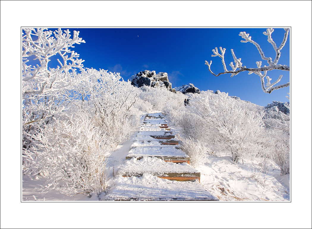 ����ũ��� ����