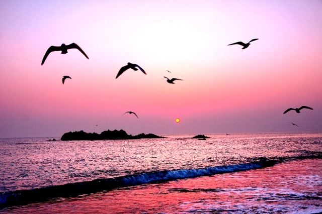 ����ũ��� ����