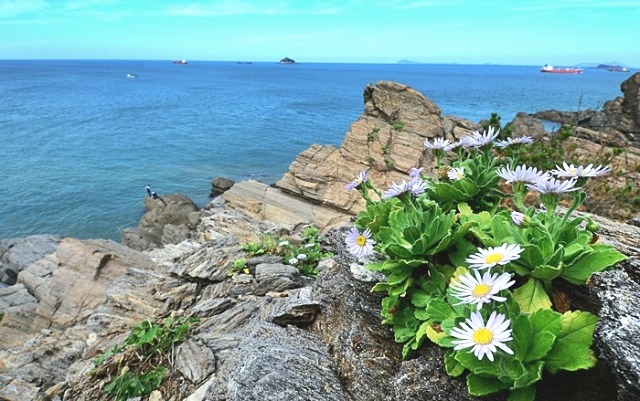 ����ũ��� ����