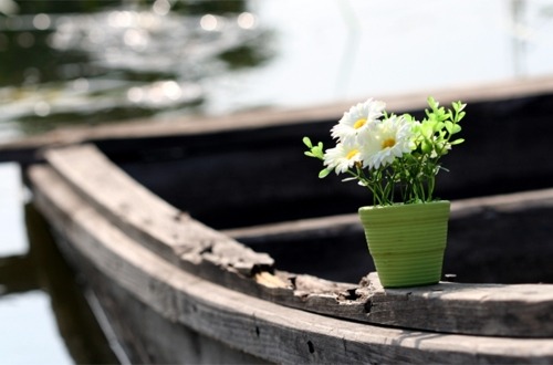 ����ũ��� ����