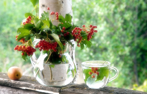 ����ũ��� ����