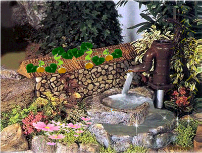 ����ũ��� ����