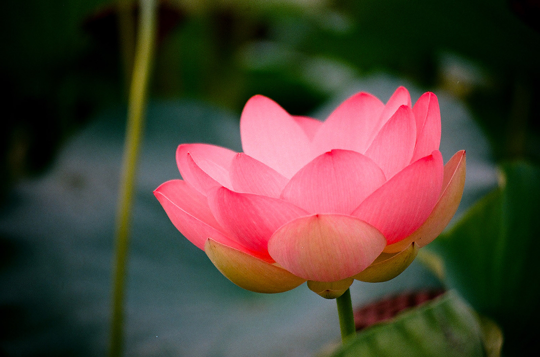 ����ũ��� ����