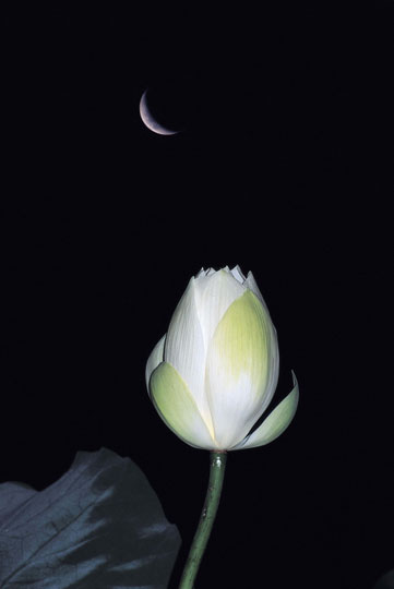 ����ũ��� ����