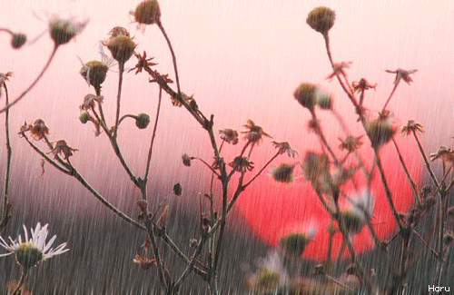 ����ũ��� ����