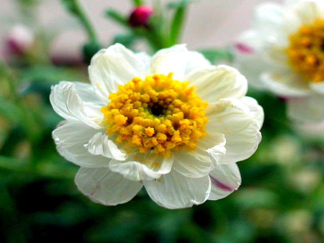 ����ũ��� ����