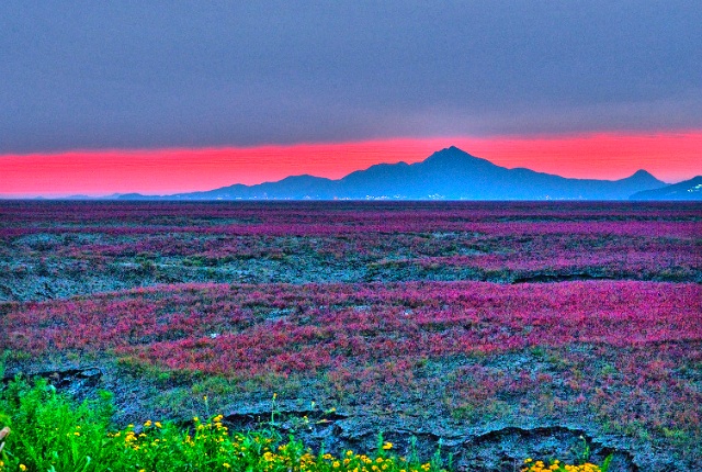 ����ũ��� ����