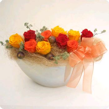 ����ũ��� ����