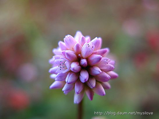 ����ũ��� ����