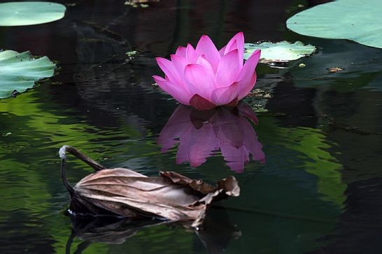 ����ũ��� ����