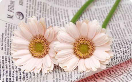 ����ũ��� ����