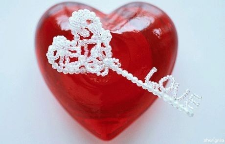 ����ũ��� ����